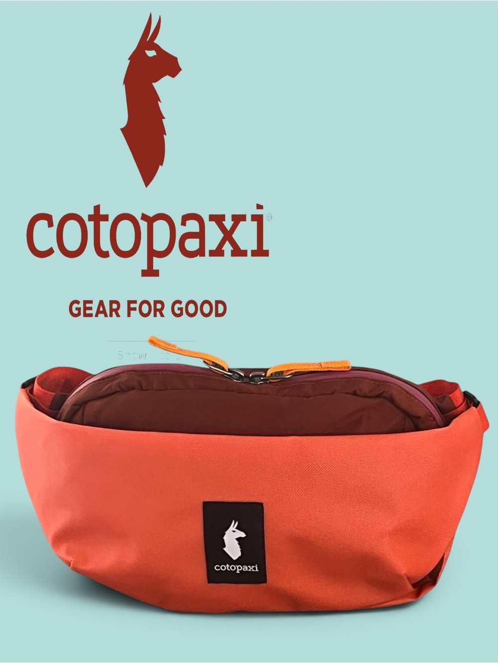 NWOT Coso 2L Hip Pack - Cada Día